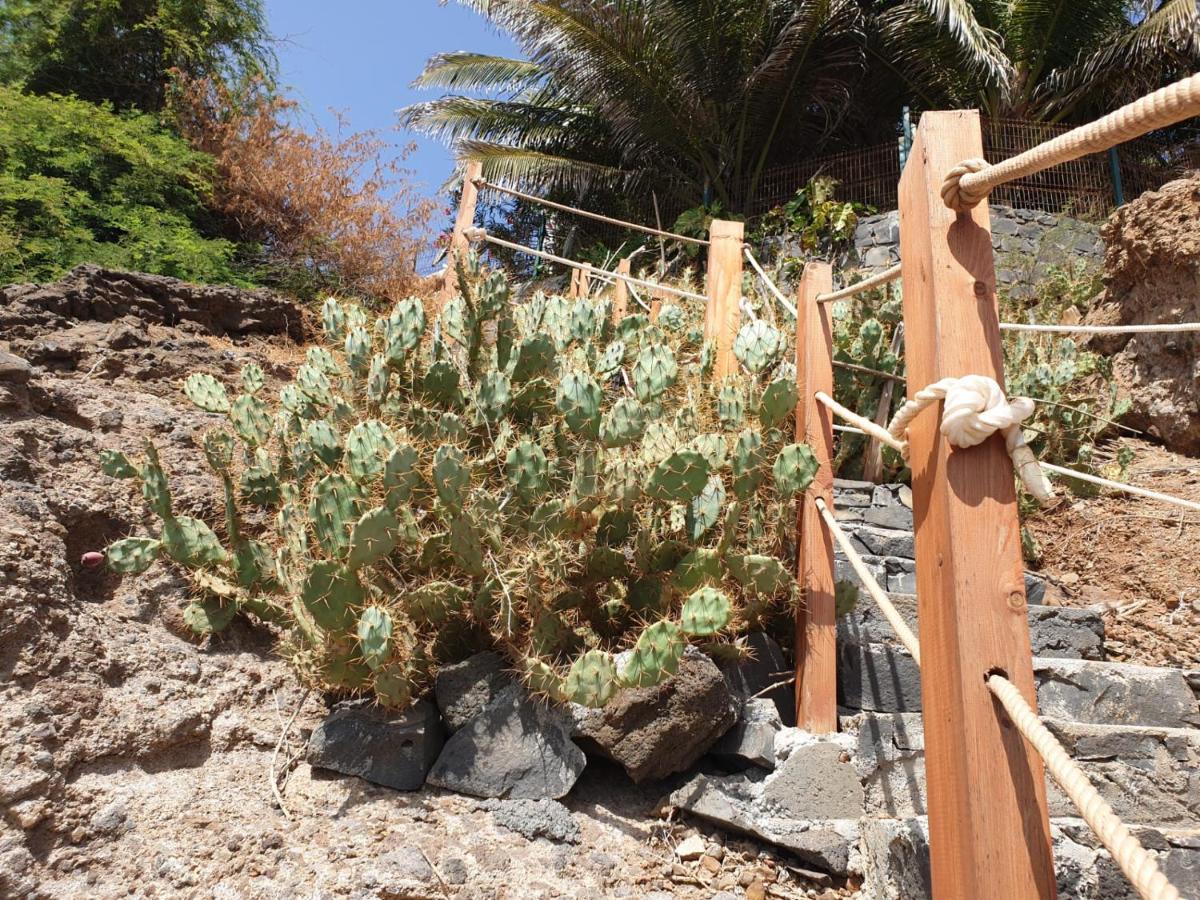 Cactus Guest House Cidade Velha 外观 照片