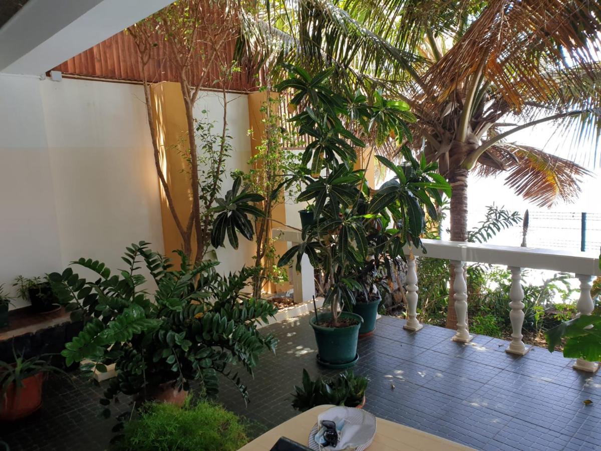 Cactus Guest House Cidade Velha 外观 照片